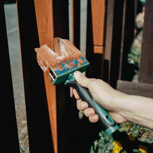 pexels-fotios-photos-31583249_11zon pexels-fotios-photos-31583249_11zon